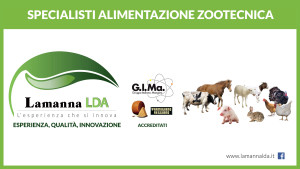 Lamanna LDA