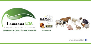 Specialisti Alimentazione Zootecnica