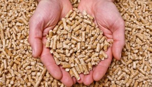 Lamanna lda pellet