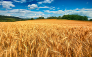 azienda-header
