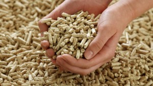 Lamanna Pellet